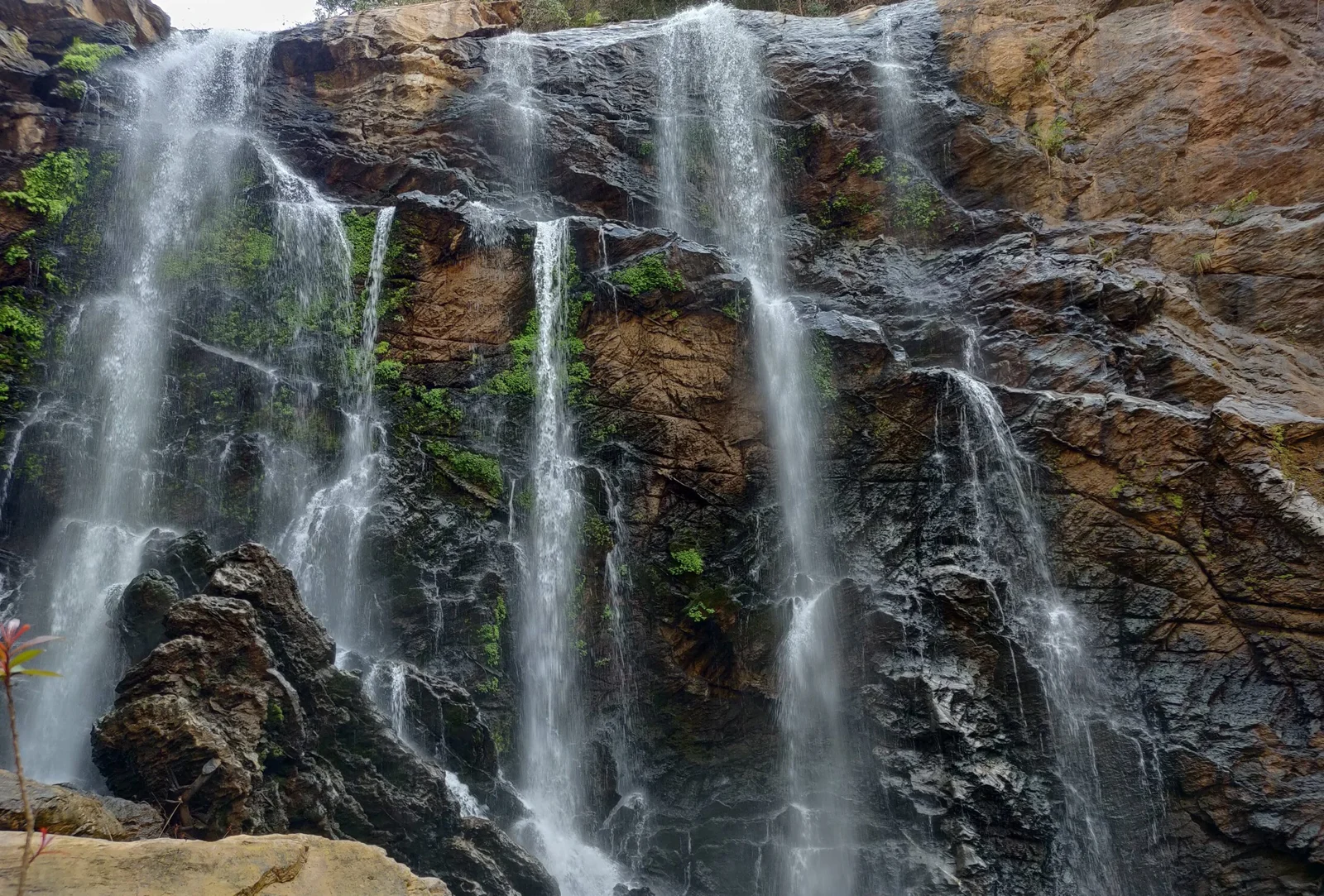 Luxury Jungle Resort